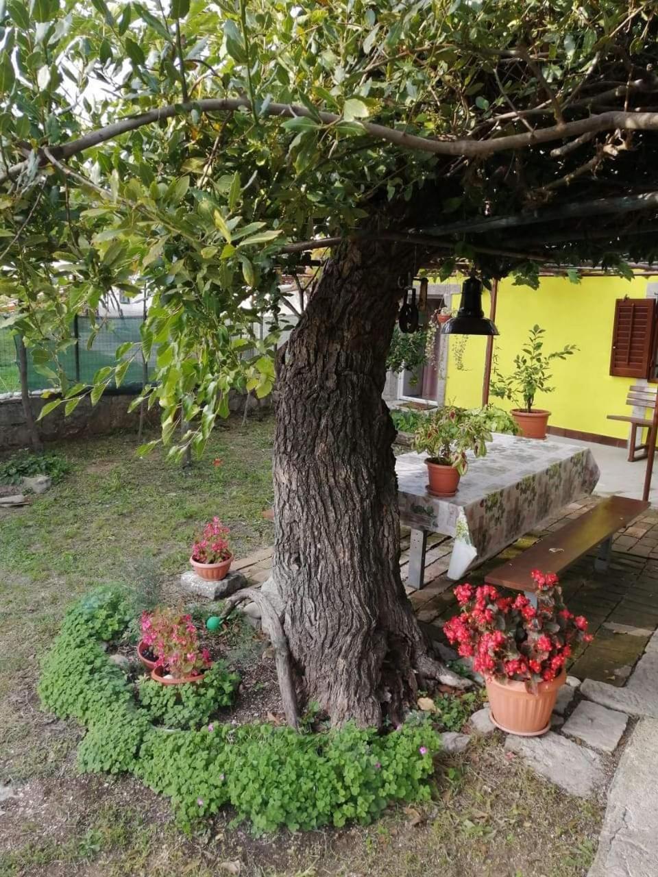 Holiday House Nono Labin  Exteriér fotografie